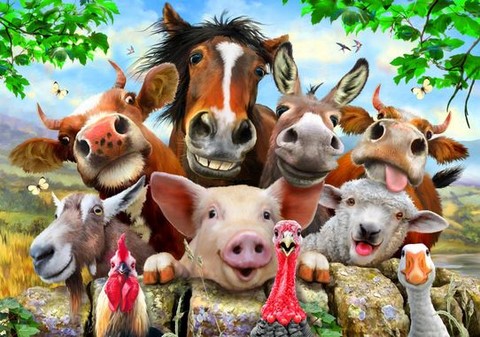 Les animaux de la ferme en français, fle